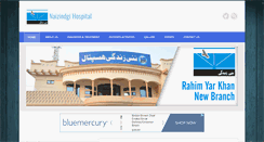 Desktop Screenshot of naizindgi.com